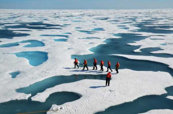 Реферат: Моря Северного Ледовитого Океана